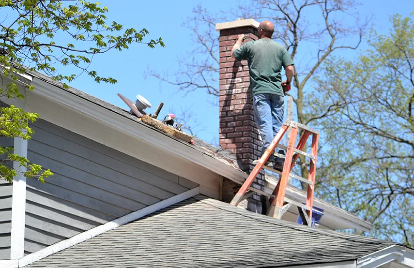Chimney & Fireplace Inspections Services in New Territory, TX
